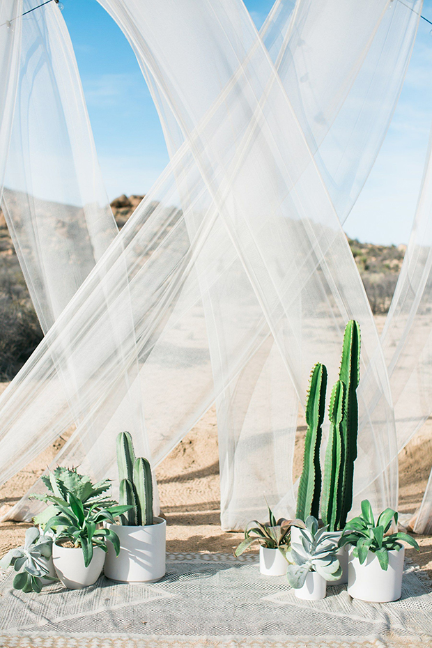 7 Ways to Use Potted Plants in your Wedding | see them all on onefabday.com