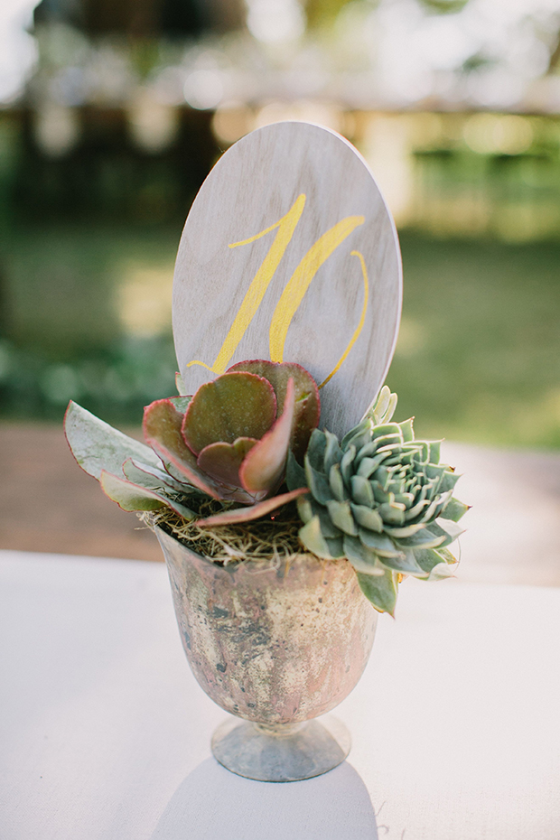 7 Ways to Use Potted Plants in your Wedding | see them all on onefabday.com