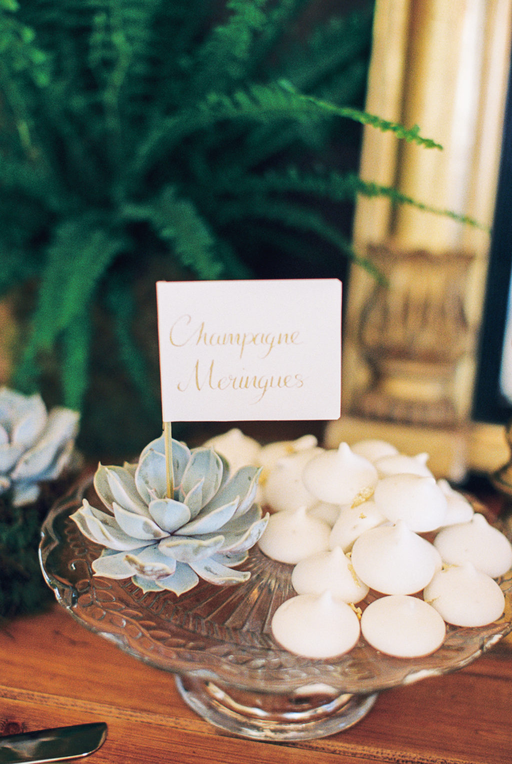 succulent wedding decor, succulent cake table