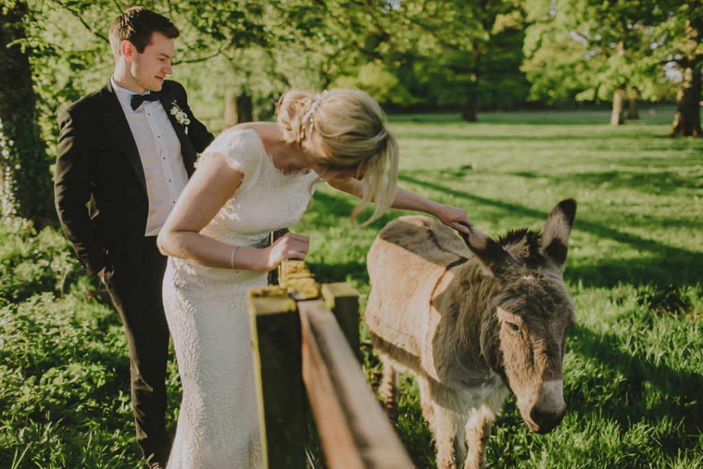 wedding donkey, bride and groom, donkey, farm animal weddings, farm weddings