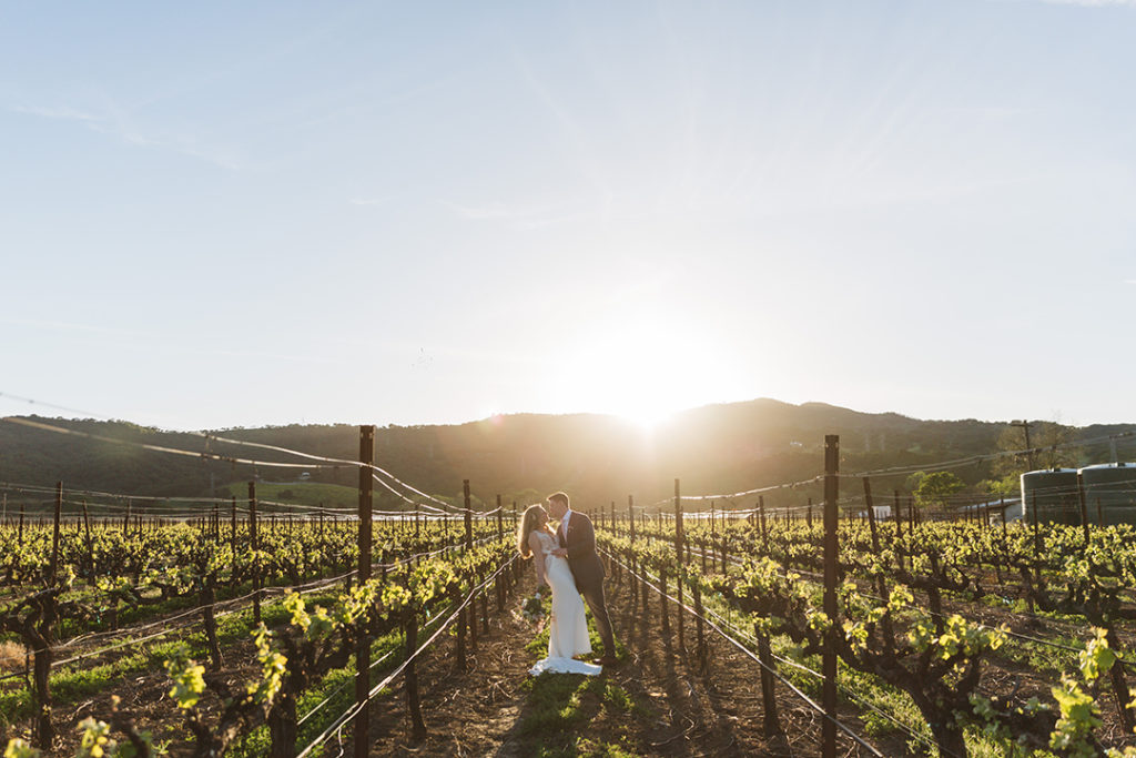 The Blue Victorian at Vezer Family Vineyard wedding, vinyard wedding