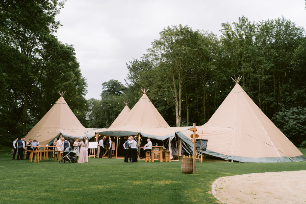 Finnebrogue Woods wedding, festival wedding, Irish festival wedding