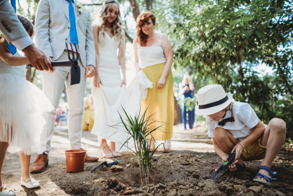 wedding tree planting ceremony, tree ritual wedding