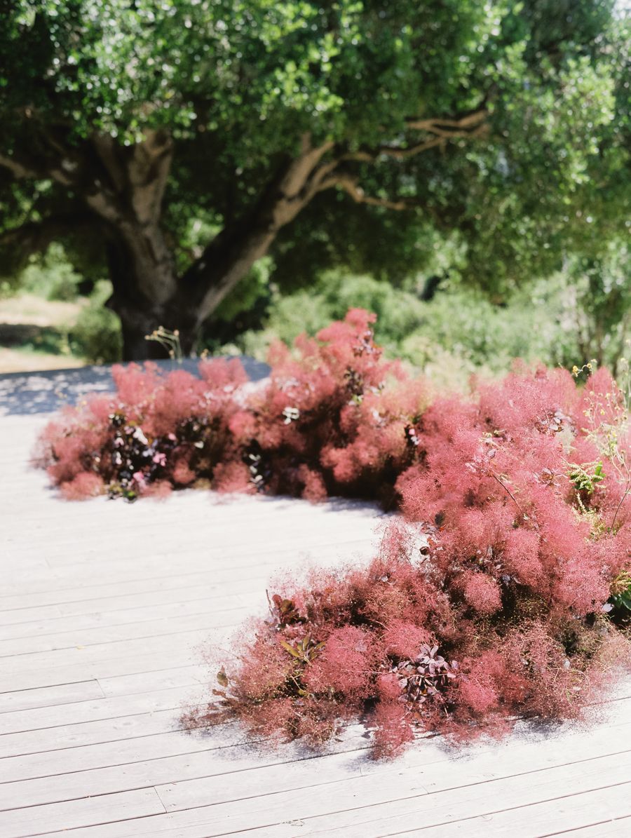 Smoke bush wedding inspiration, smoke bush wedding ideas, smoke bush bridal bouquet | One Fab Day