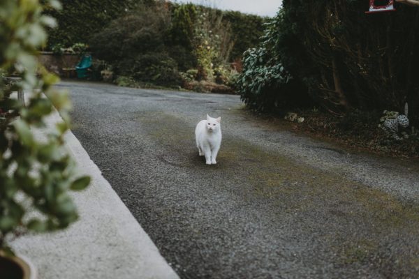 Cosy Winter Wedding at Markree Castle by Photography by Ciara | One Fab Day