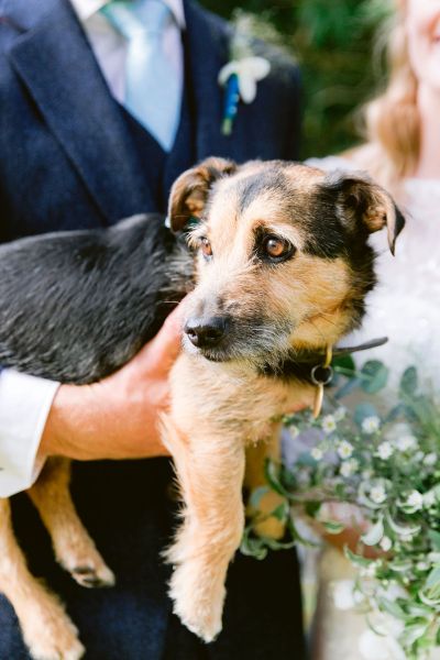 Groom holding dog flowers exterior shot