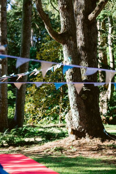 Exterior red carpet decor ceremony