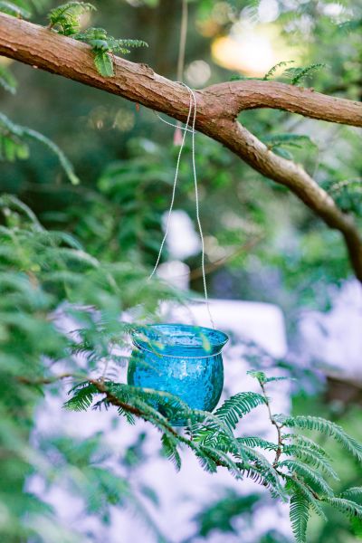 Handing candle jar from tree