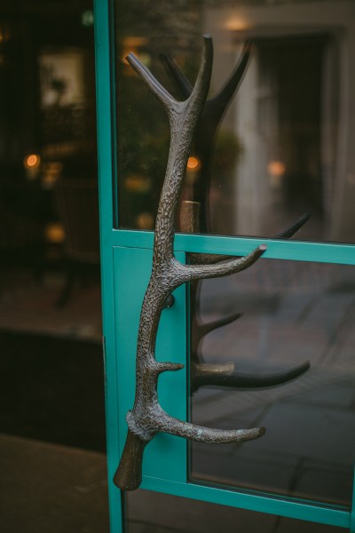 Up close close-up bark antler decor details door