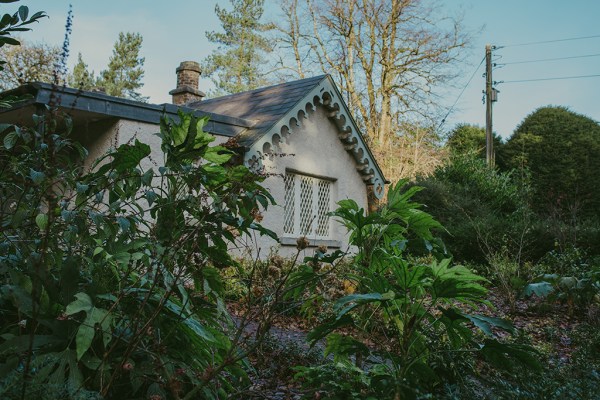 Exterior shot of house plants