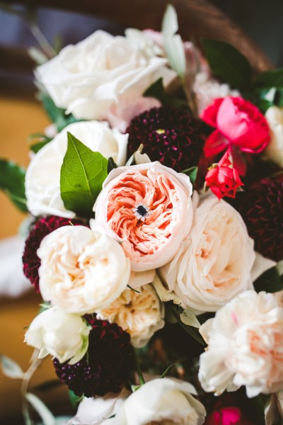 Up close close-up rose flower detail bouquet