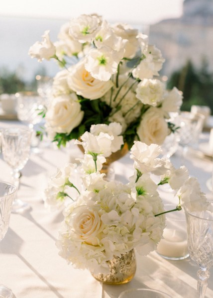 Up close close up Cliff mountain table exterior flowers