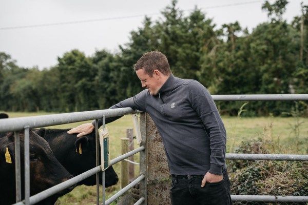 Groom cows farm with father exterior