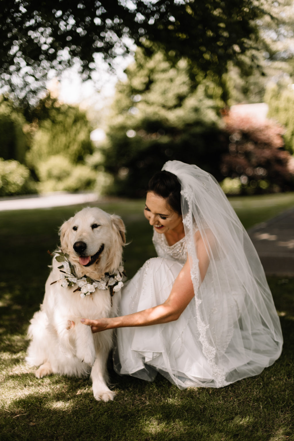 wedding dog, dog at wedding, cute wedding dog