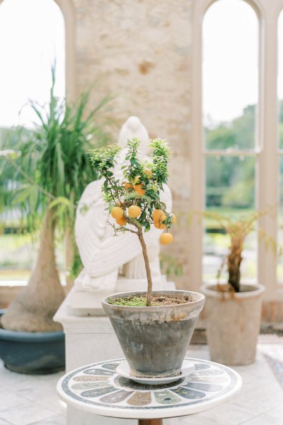 Fruit tree statue