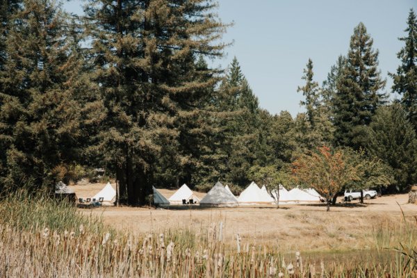 Tents marquee festival vibe park forest