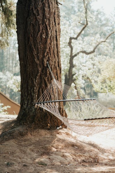 Hammock outside exterior attached to tree forest park