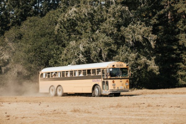 School bus forest park Gillibus