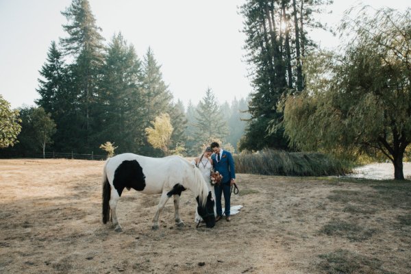 Bride petting horse bouquet and flowers groom