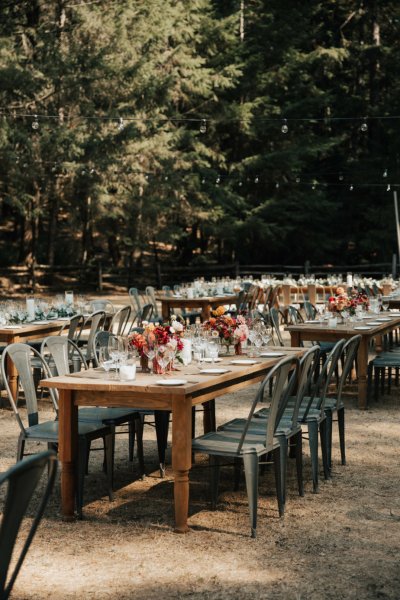 flowers roses on table exterior dining empty chairs