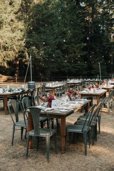 flowers roses on table exterior dining empty chairs