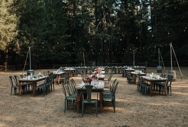 flowers roses on table exterior dining empty chairs