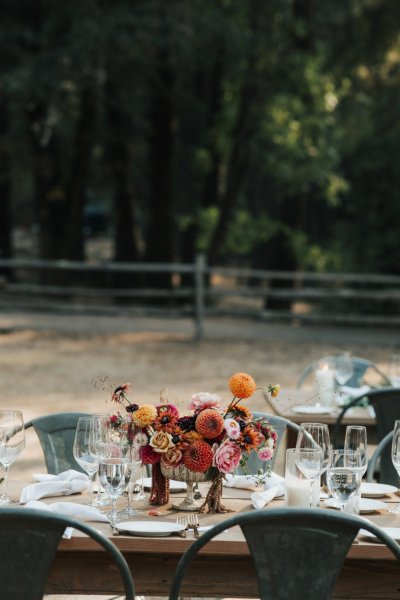 flowers roses on table