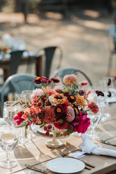 flowers roses on table