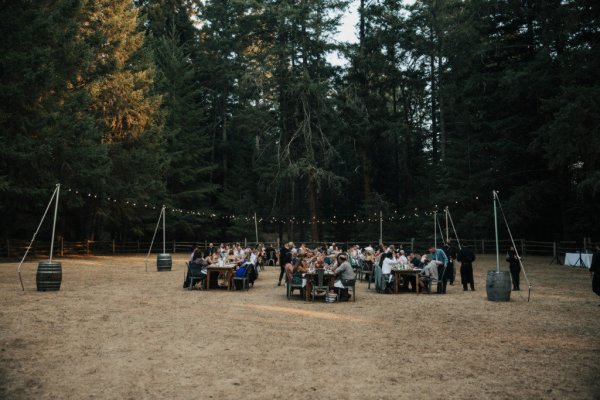 Guests bride groom groups exterior park