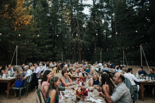 Guests bride groom groups exterior park