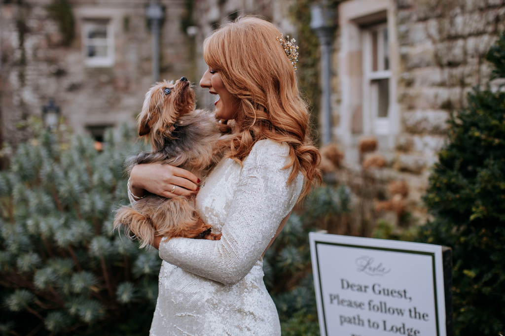 wedding dog, dog at wedding, cute wedding dog