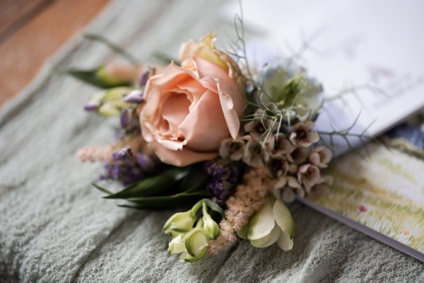 Close up of pink rose flowers