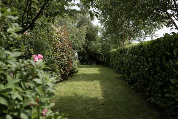 Empty garden flowers