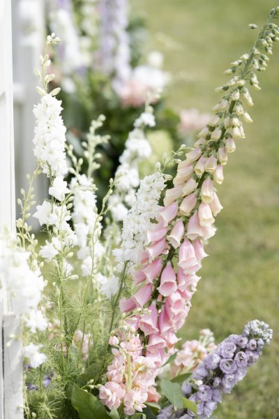 Pink flowers in garden