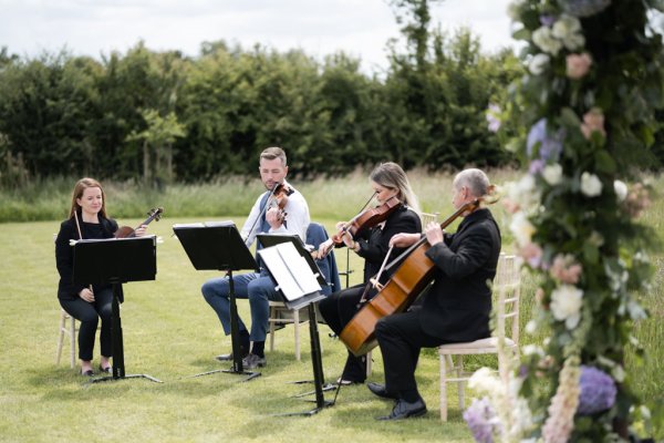 Wedding band musicians playing violin harp