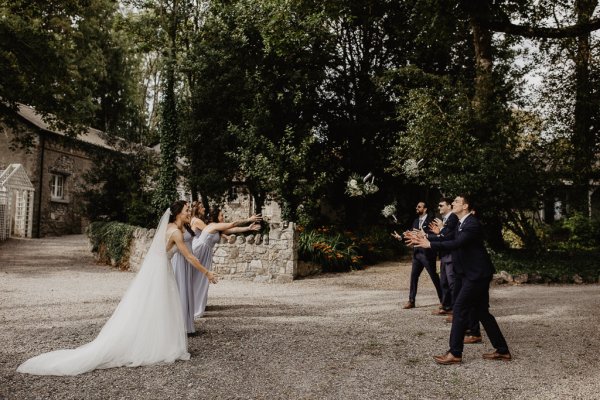 Bride groom groomsmen and bridesmaids