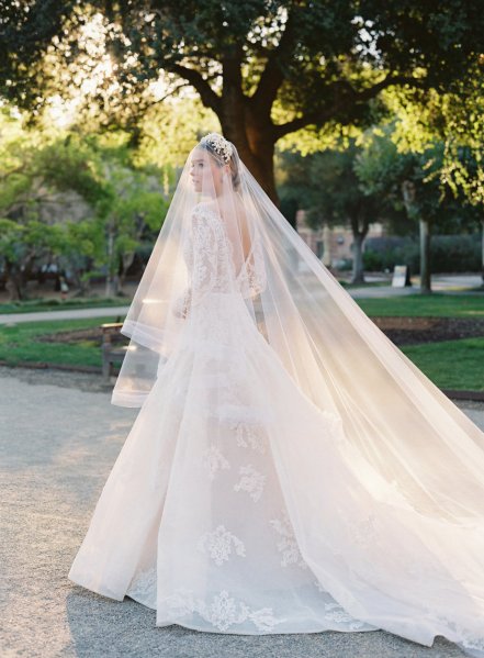 Anne Barge bridal wear bride dress veil lace detail