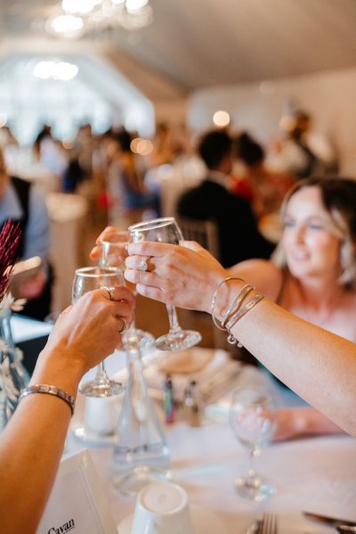 Cheers champagne wine prosecco glasses and guests