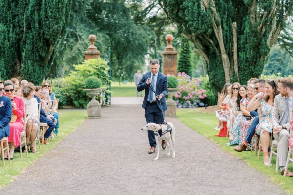 Man walks dog down the aisle in park/garden