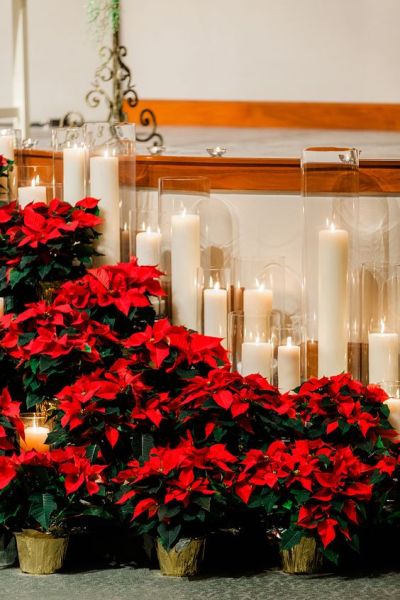 christmas wedding decor poinsettia