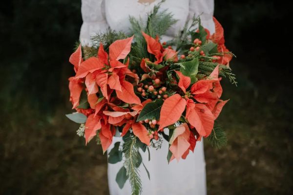 Poinsettia bouquet