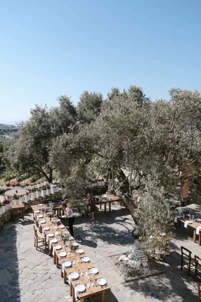 Exterior trees setting wedding