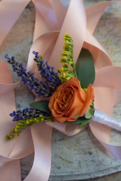 Orange rose flower detail