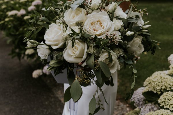 Close up of white roses/flowers