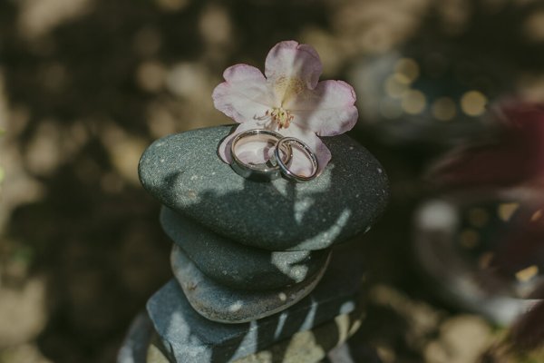 Wedding bands/rings sitting on wet rock and flower