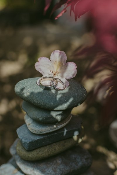 Wedding bands/rings sitting on wet rock and flower