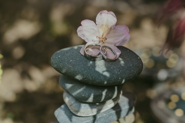 Wedding bands/rings sitting on wet rock and flower