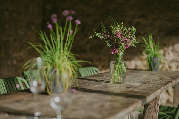 Green chairs exterior setting plants