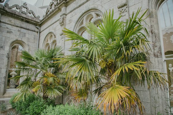 Killruddery house wedding venue grass exterior detail setting garden