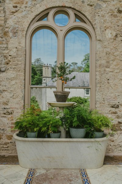 Plant and pots interior setting detail